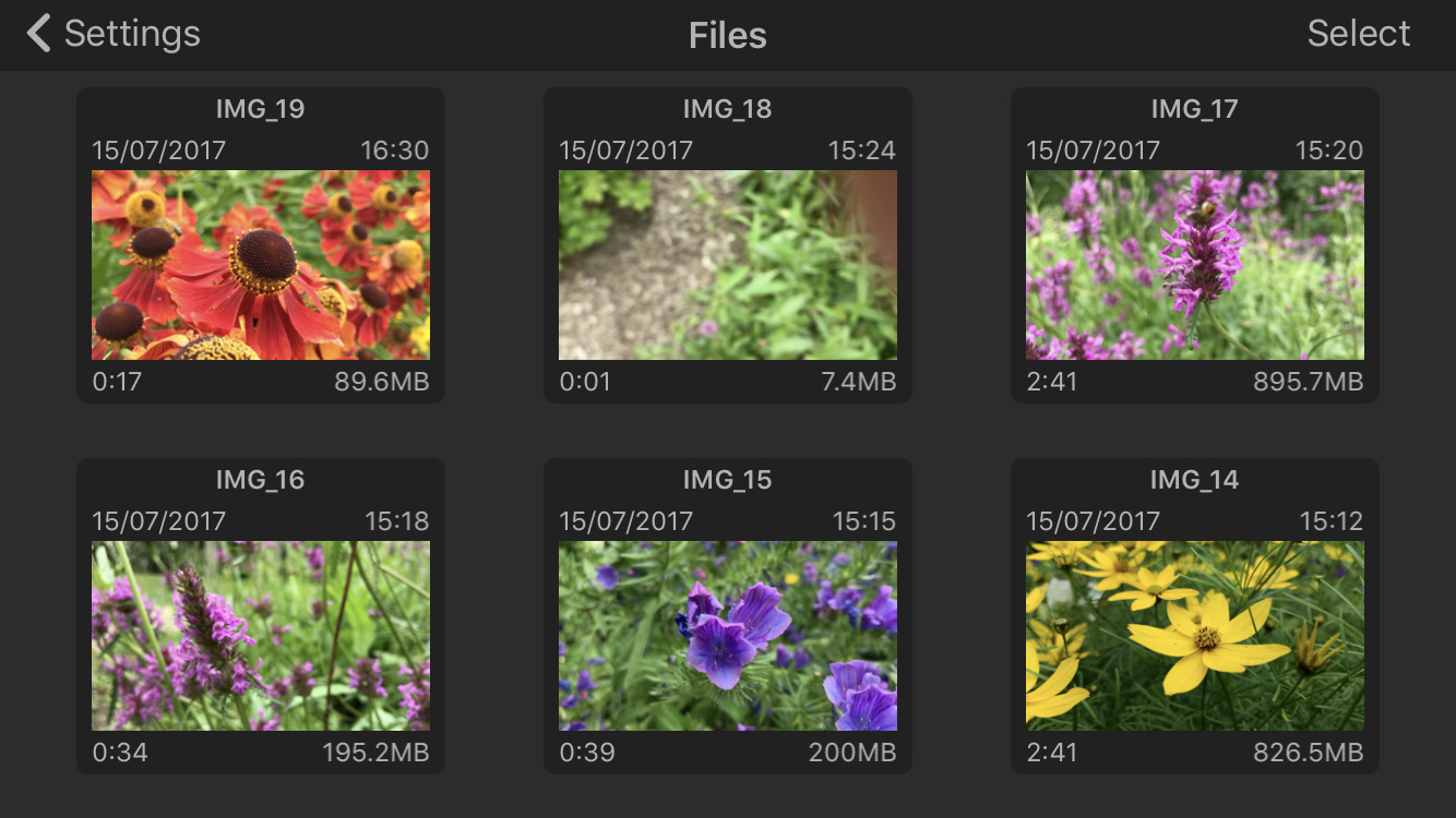 files_viewer.jpg