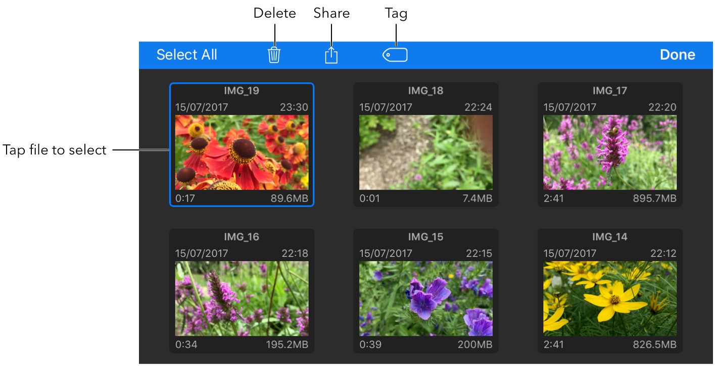 tagging_files_viewer.jpg