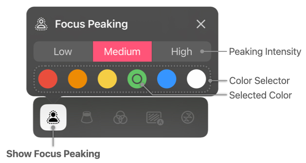 Mavis Support Image FocusPeaking Annotated.jpg