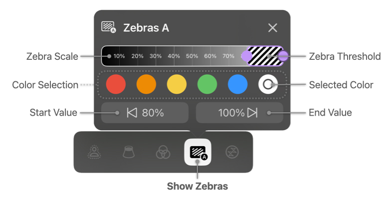 Mavis Support Image Zebras Annotated.jpg